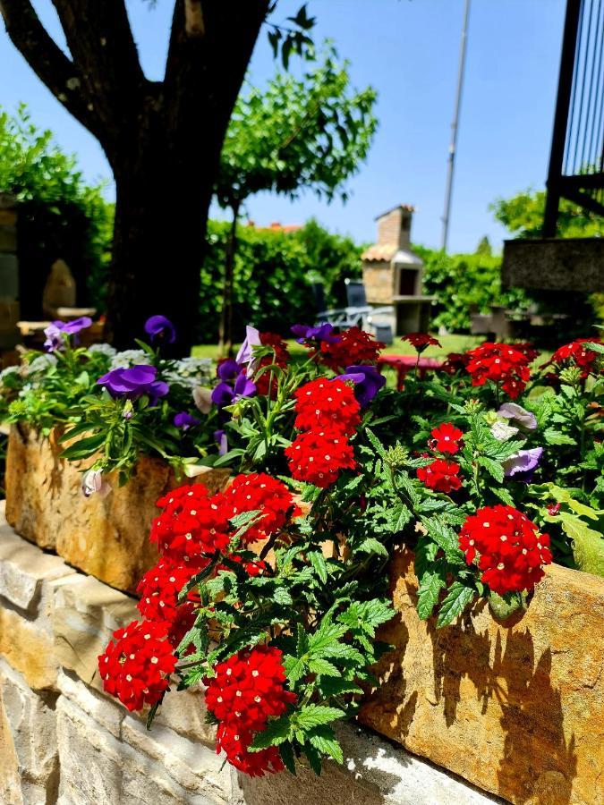 Hisa Nevija Villa Koper Kültér fotó